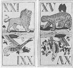 Animal Tarot