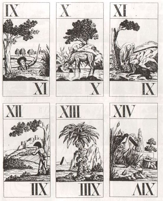 tarot with animal fables